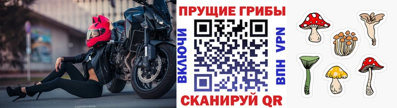 Псилоцибиновые грибы ЛСД  Плавск 